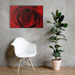 Canvas - Art of Red Rose - CUSTOMIIZED