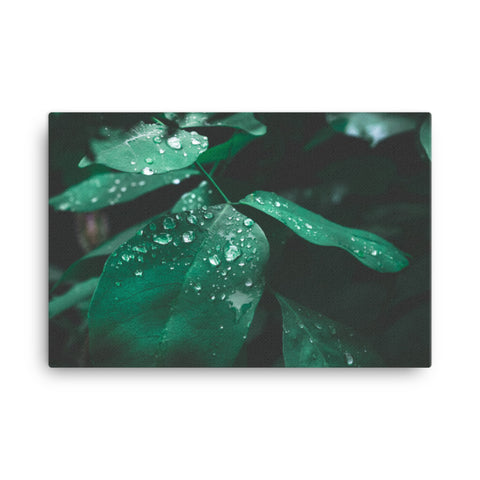 Canvas - Midnight Dews on Green Leaf - CUSTOMIIZED