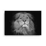 Canvas - Majestic Lion - CUSTOMIIZED