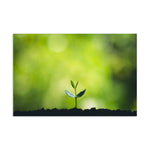 Growth on Earth Postcard - CUSTOMIIZED