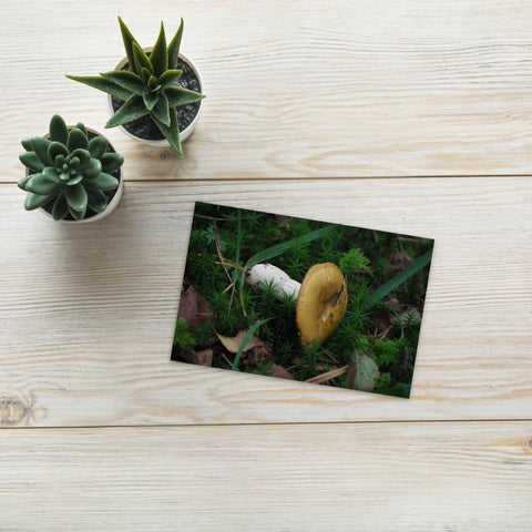 Geir's Postcard of Wild Mushroom - CUSTOMIIZED