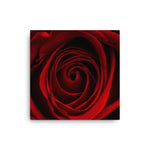 Canvas - Art of Red Rose - CUSTOMIIZED