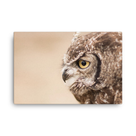 Canvas - Owl in the Wild - CUSTOMIIZED